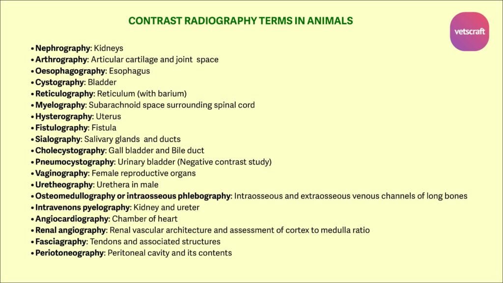 Common Terminology used in contrast radiography are Nephrography, Myelography, Hysterography, Fistulography, Cystography, Sialography, Cholecystography, Reticulography, Pneumocystography, Vaginography, Uretheography, Oesophagography, Intravenons pyelography, Arthrography, Angiocardiography, Renal angiography, Fasciagraphy, Osteomedullography or intraosseous phlebography, Periotoneography etc.