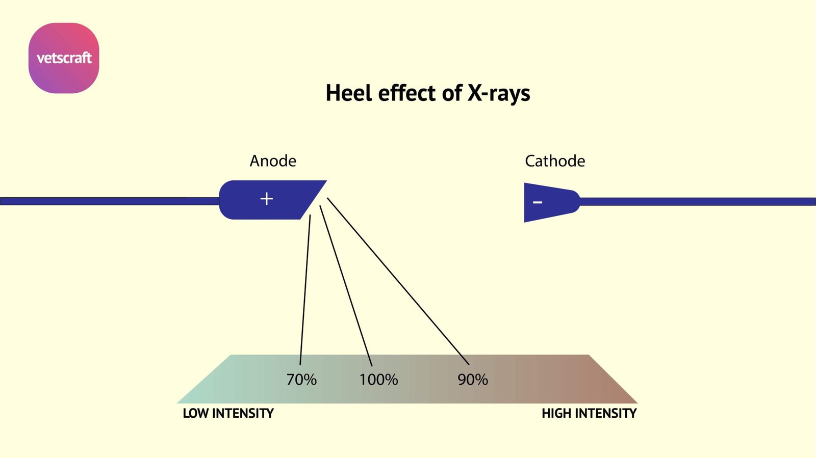 Heel effect adaptive flat field correction of digital x-ray detectors
