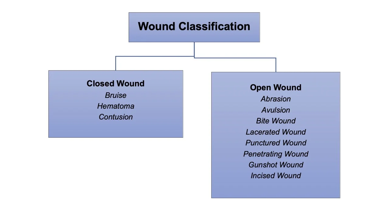 Types Of Wounds wounds-and-abscesses-flashcards-quizlet