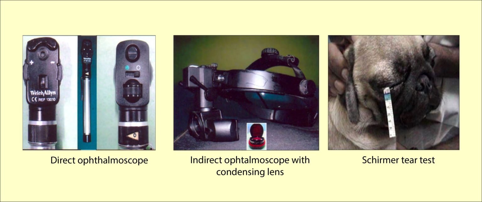 Surgical affections of the Eyes Veterinary Regional Surgery
