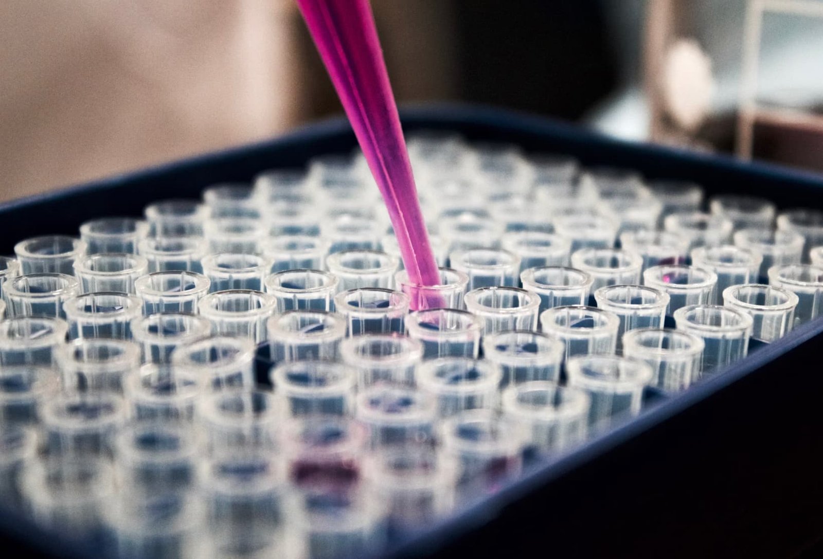 Ambient Temperature Semen Diluents