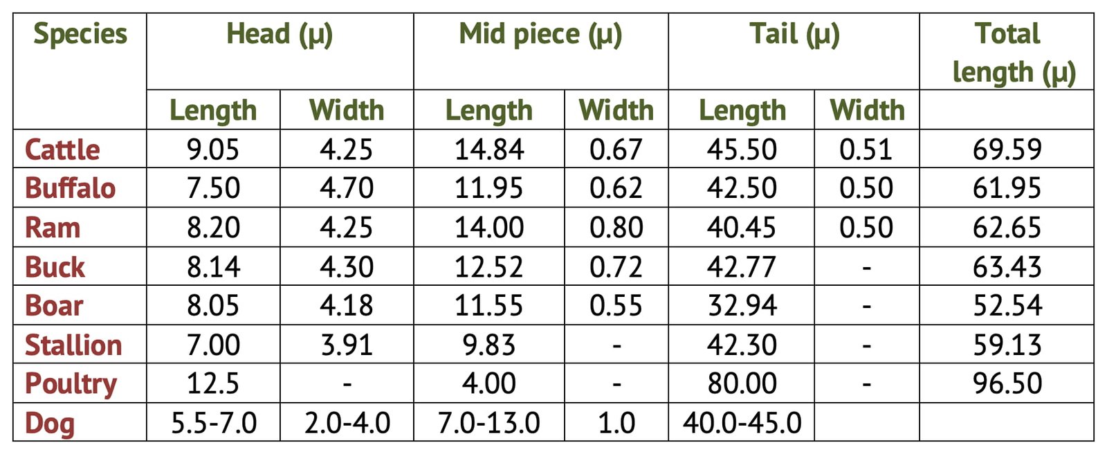 Biometry of Spermatozoa in Different Species