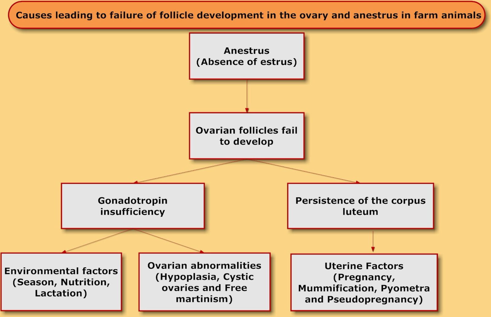 Causes Leading to Failure of Follicle Development in the Ovary and Anestrus in Farm Animals