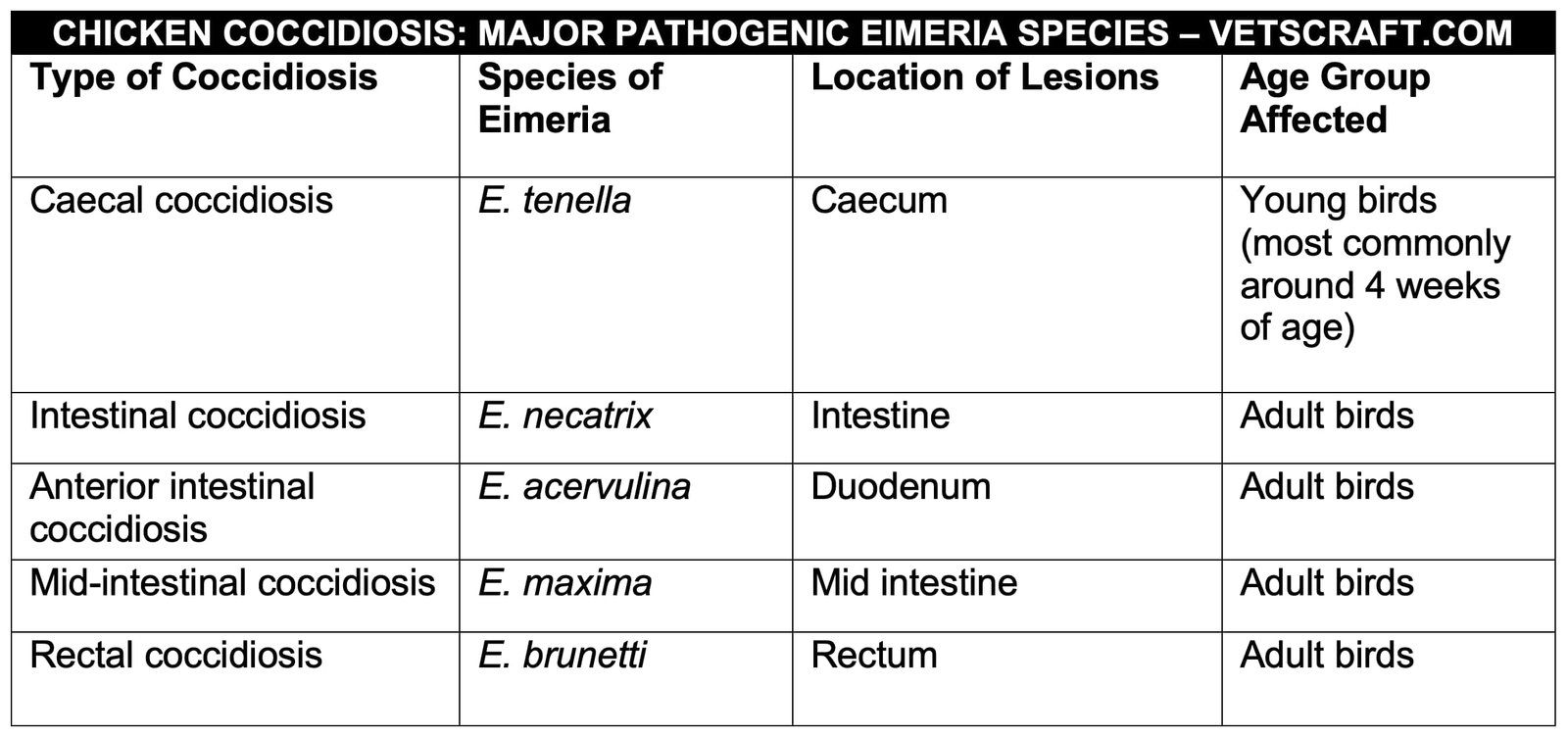 Chicken Coccidiosis (Major Pathogenic Eimeria Species)