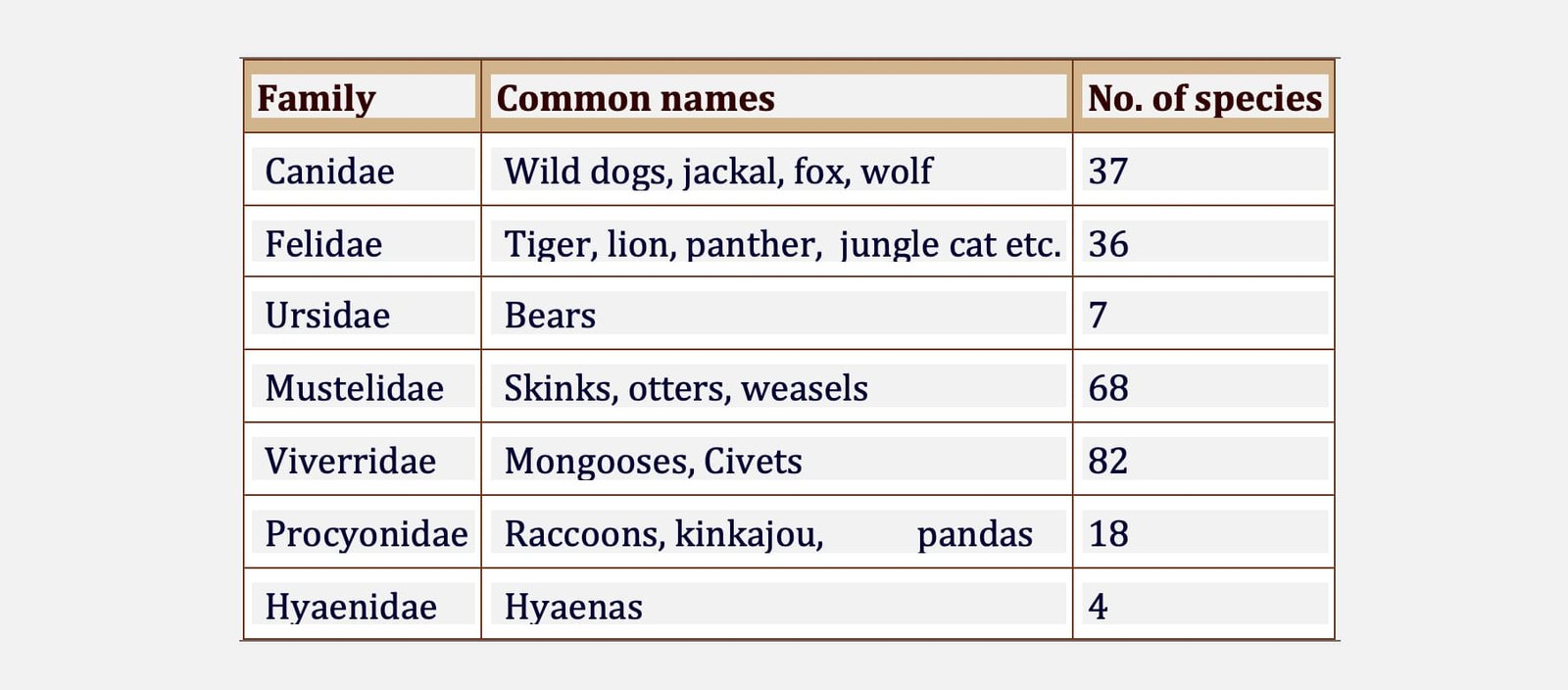 Classification of Carnivora
