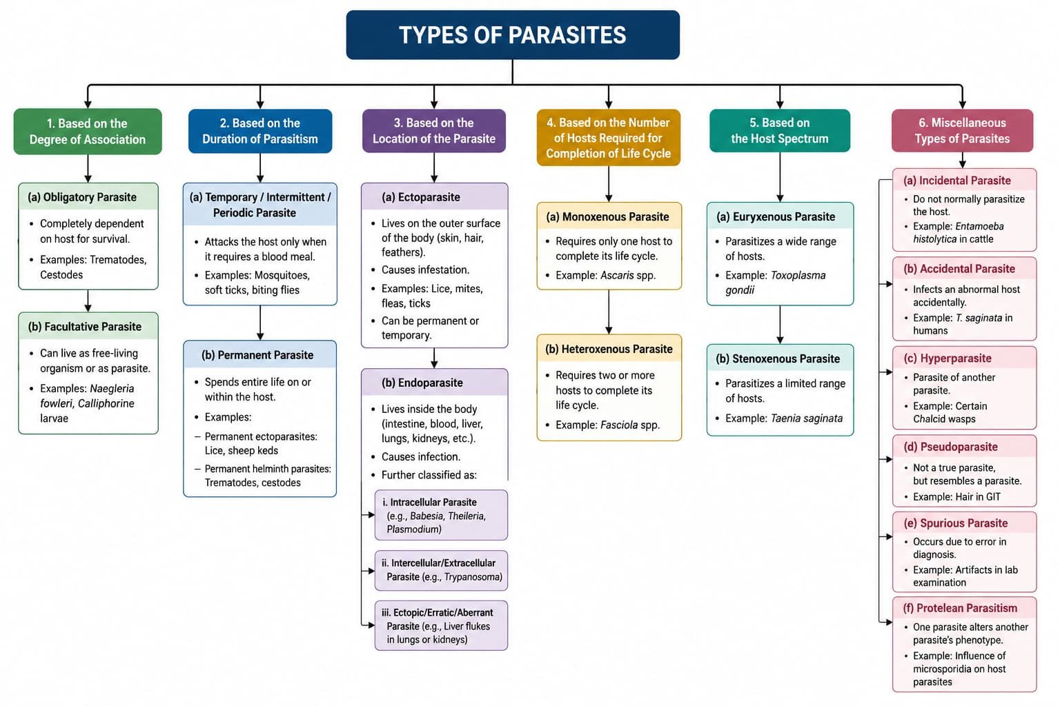 Classification of Parasites in Veterinary Parasitology with Examples