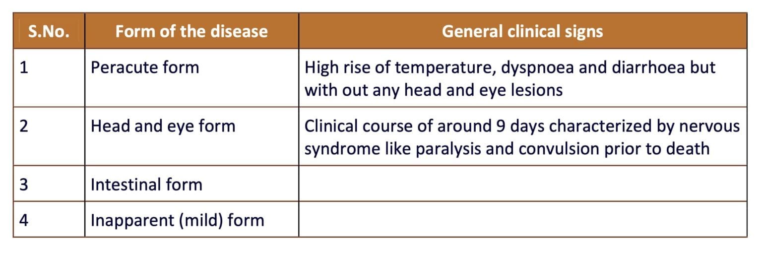 Malignant Catarrhal Fever (MCF) | Gangrenous Coryza in Animals