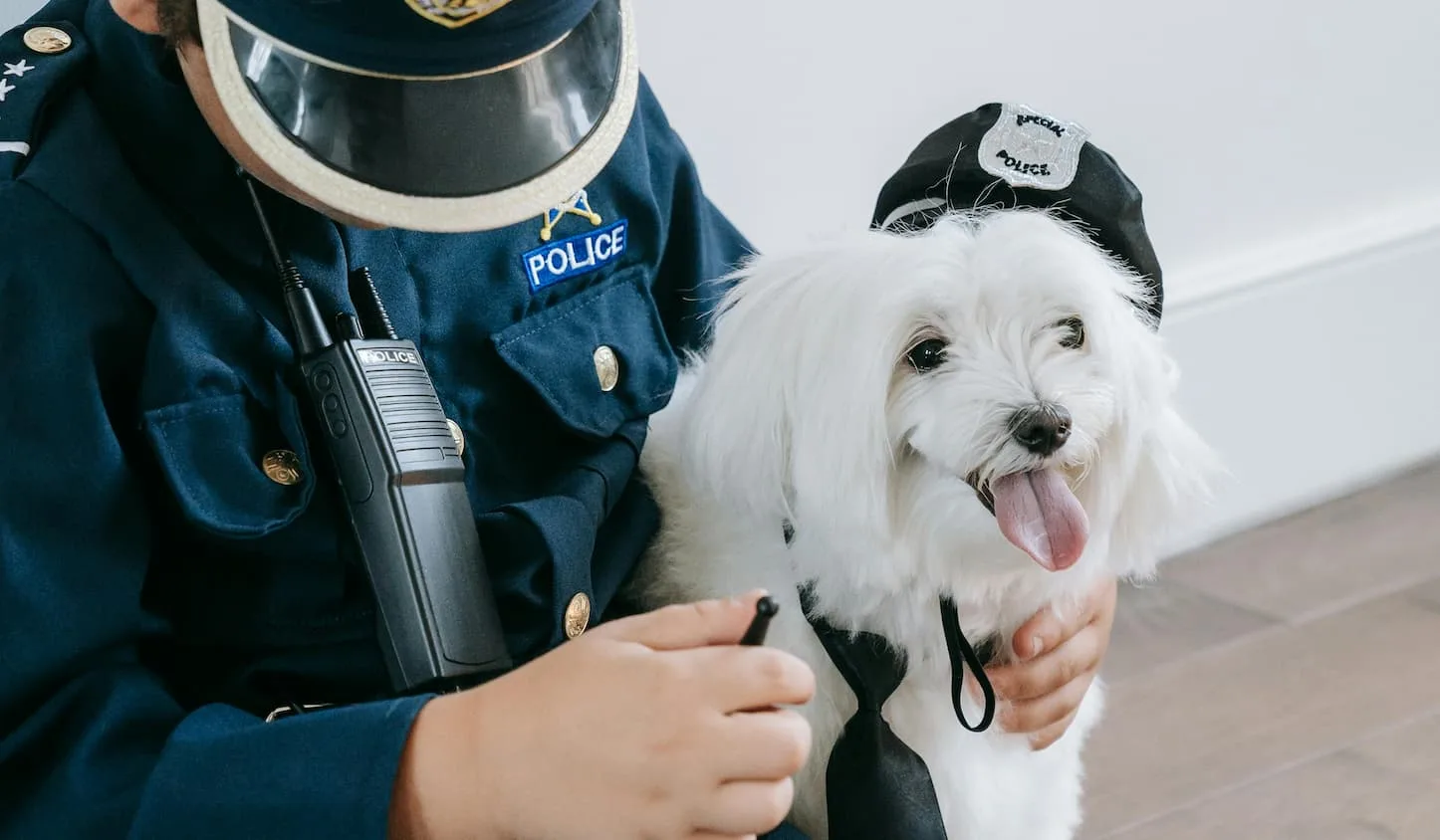 Common Offences against Animals and Laws