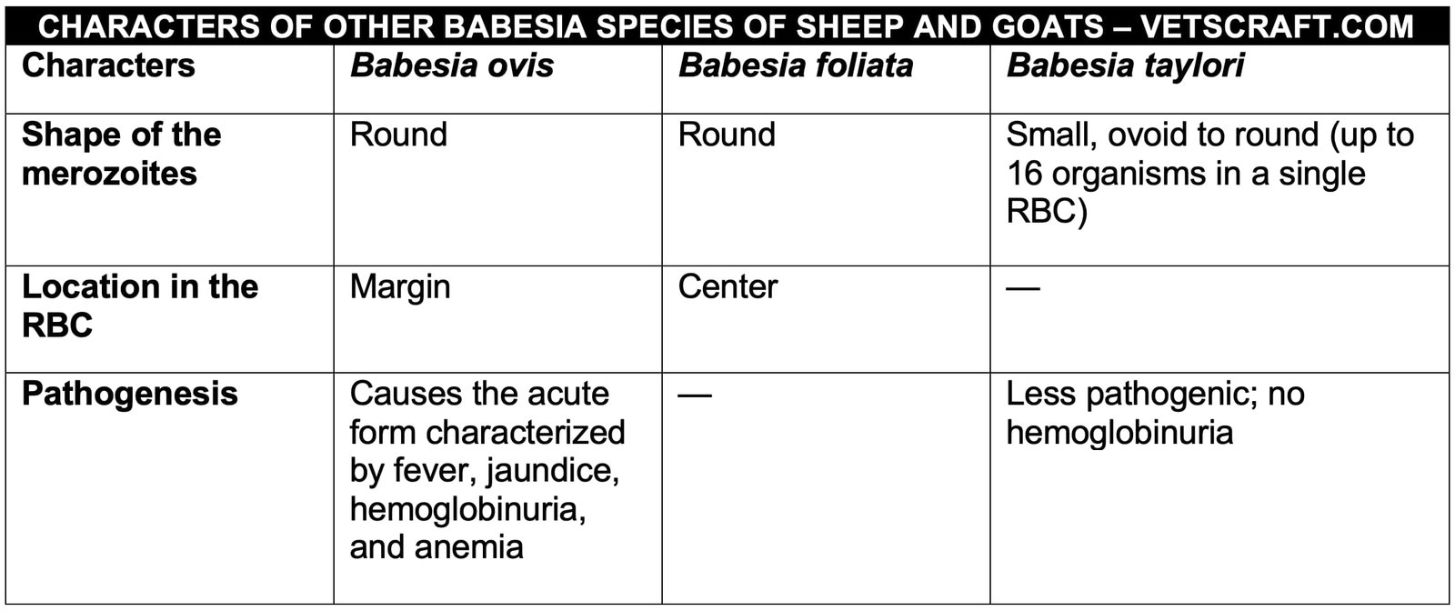 Comparative Characters of Other Babesia Species of Sheep and Goats