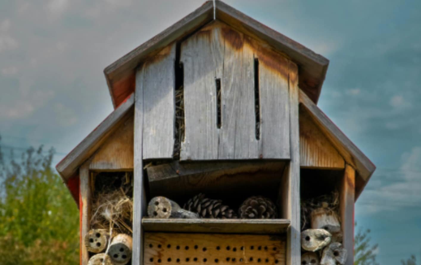 Components of Wildlife Habitats