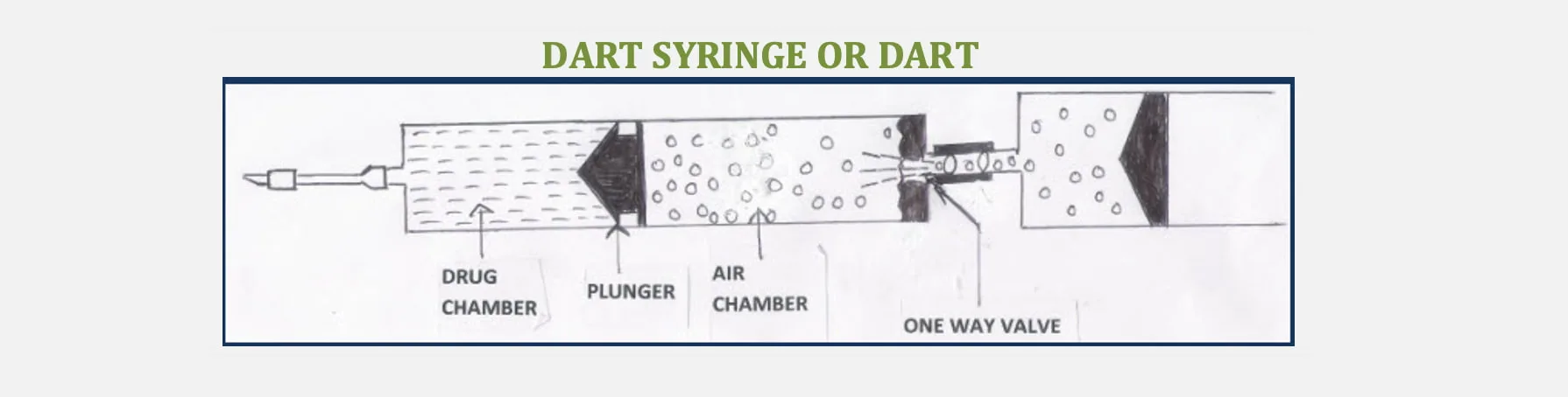 Dart Syringe or Dart for Chemical Restraints in Wild Animals