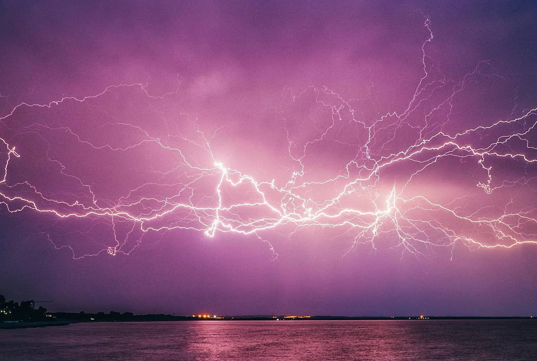 Death due to Lightning Stroke in Animals