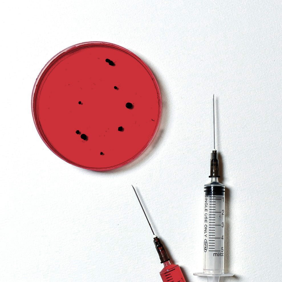 Derivatives of Hemoglobin in animals