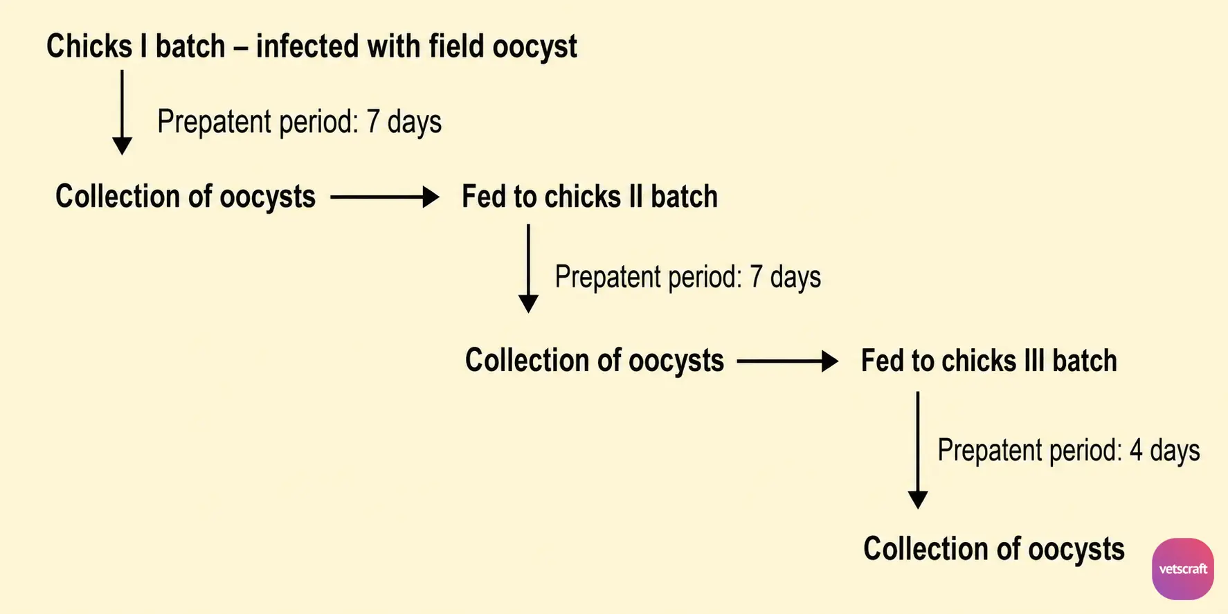 Development of Precocious Line