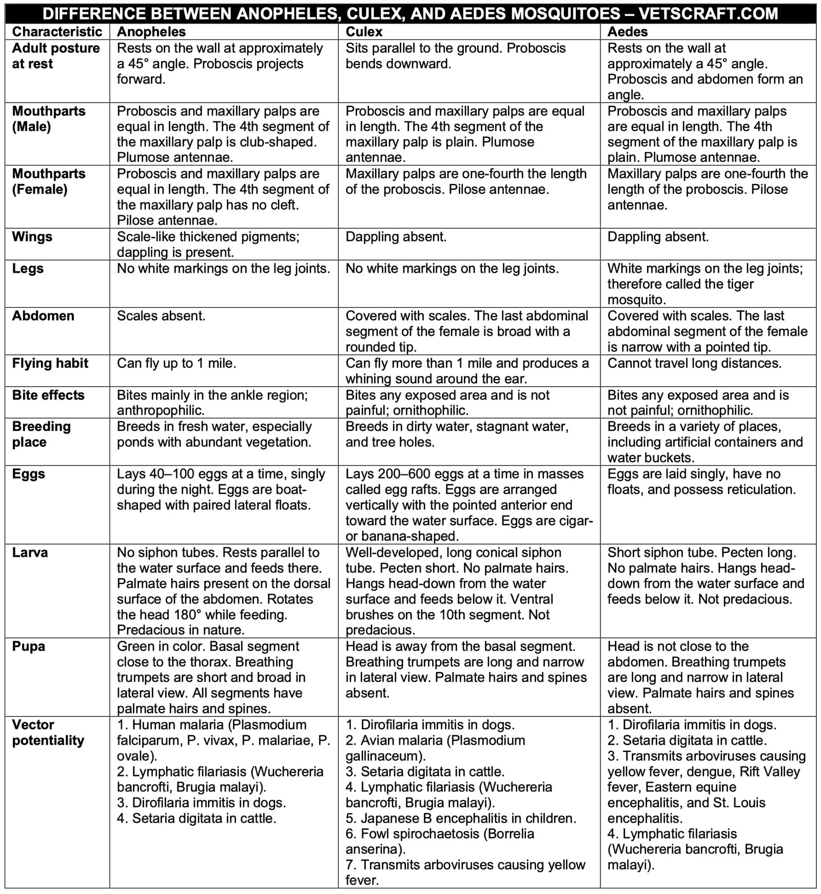 Difference Between Anopheles, Culex, and Aedes Mosquitoes
