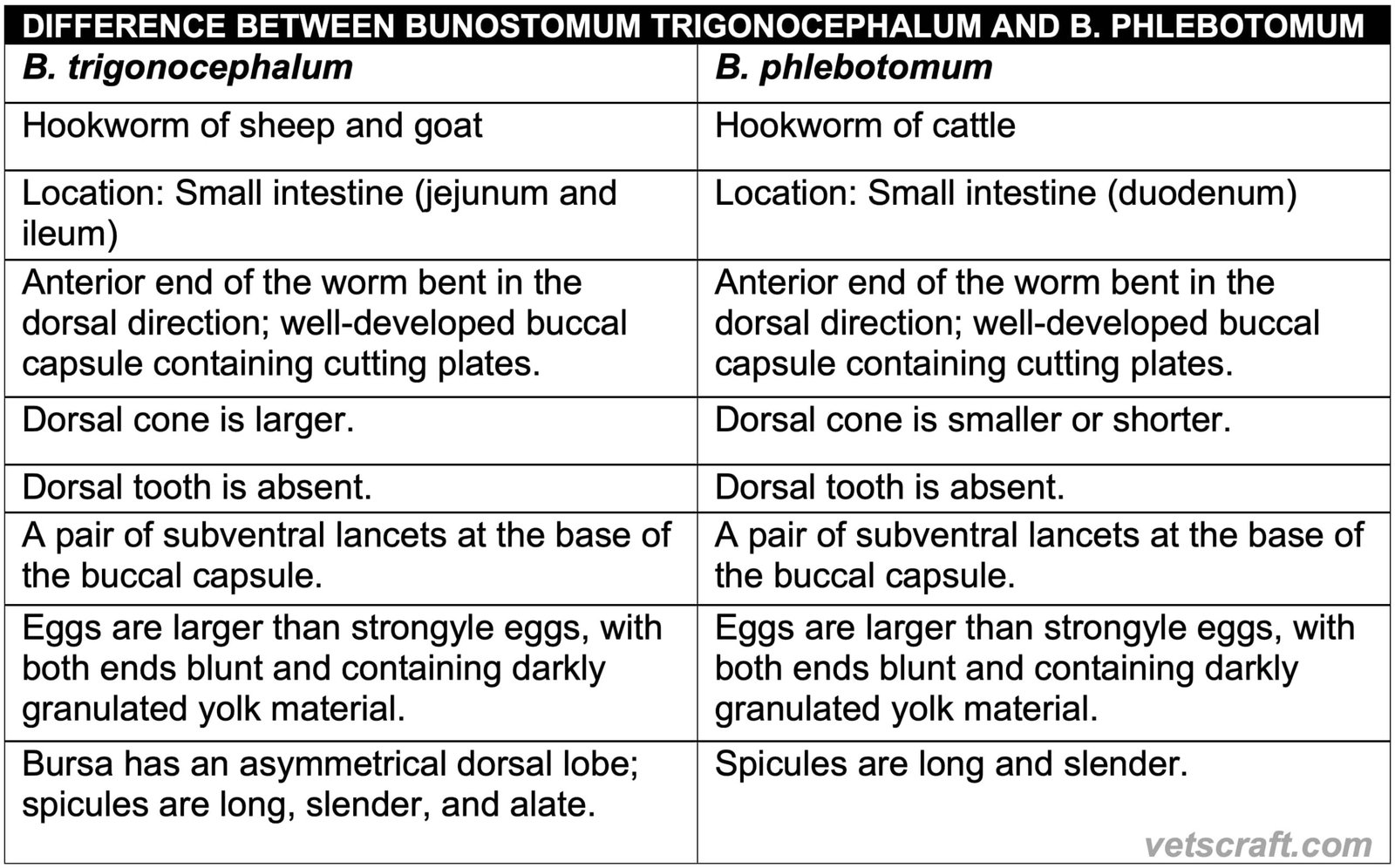 Difference Between Bunostomum trigonocephalum and Bunostomum phlebotomum