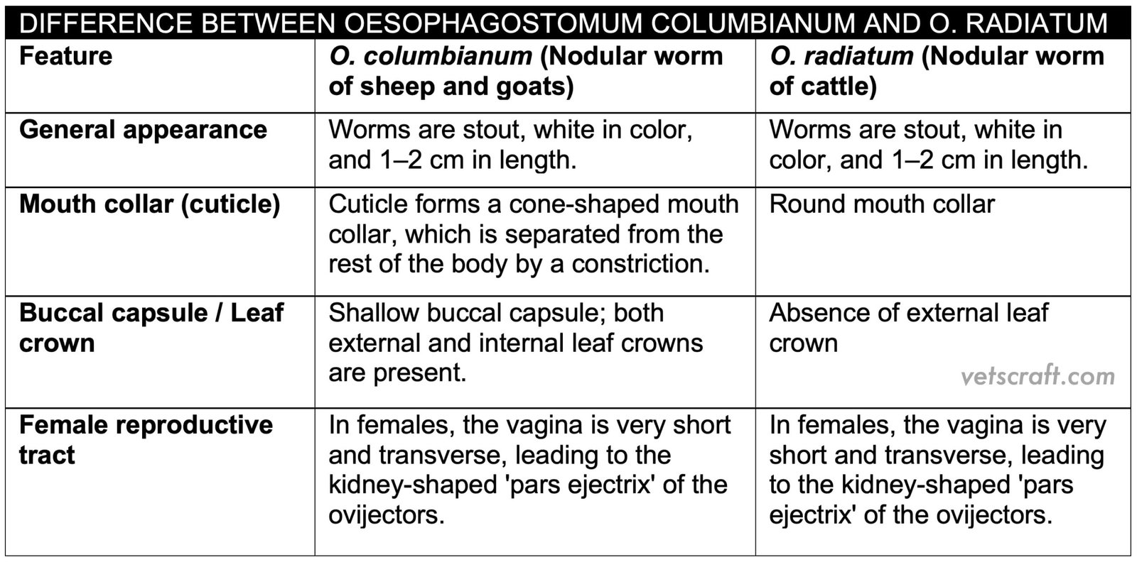 Difference Between Oesophagostomum Columbianum and O. Radiatum