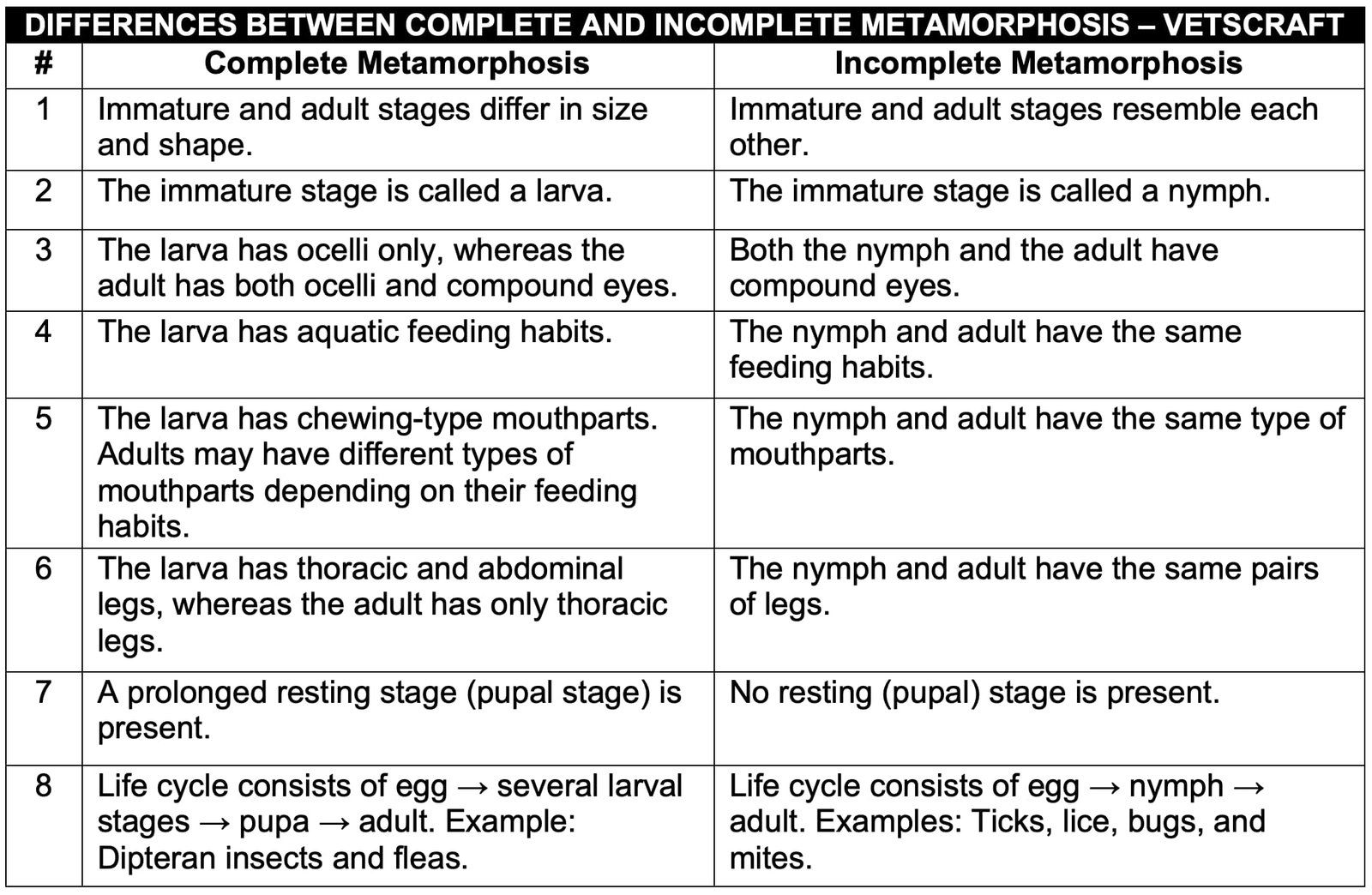 Differences Between Complete and Incomplete Metamorphosis
