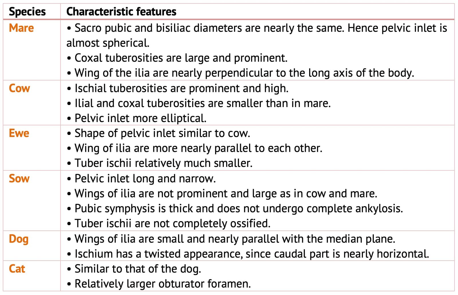 Differences in the pelvices of domestic animals