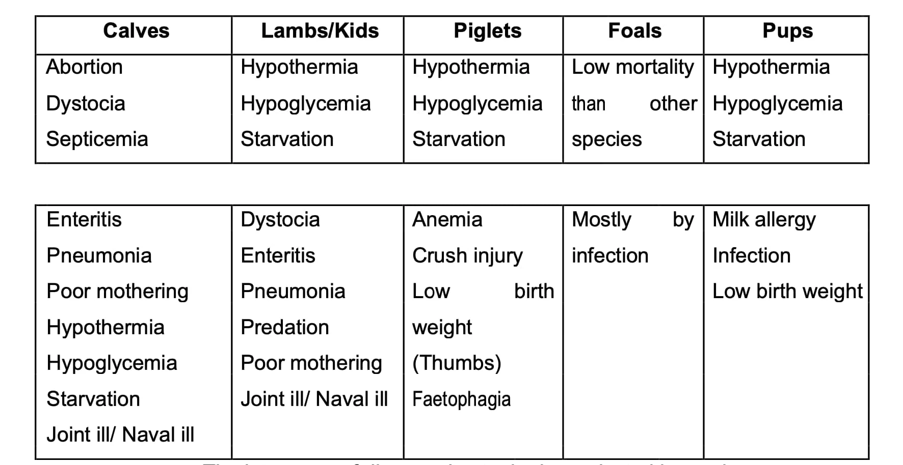 Diseases of Neonates in Animals are Hypothermia, Hypoglycemia, Starvation, Septicemia, etc.