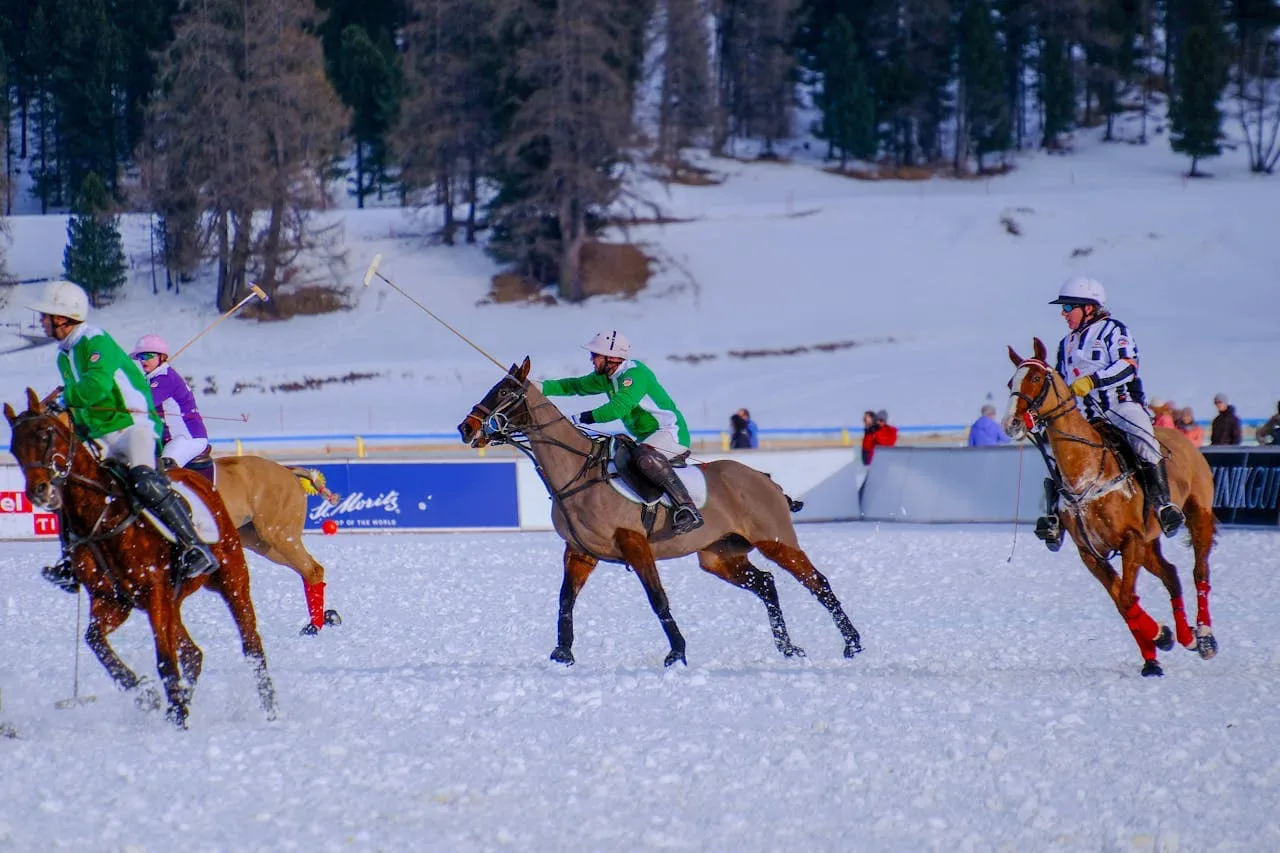 Doping in Horses