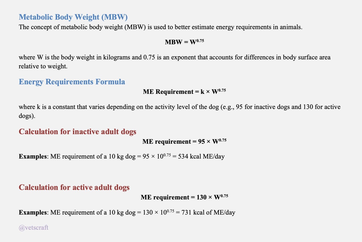 Energy Requirements in Dogs | Veterinarian's Calculation & Advice