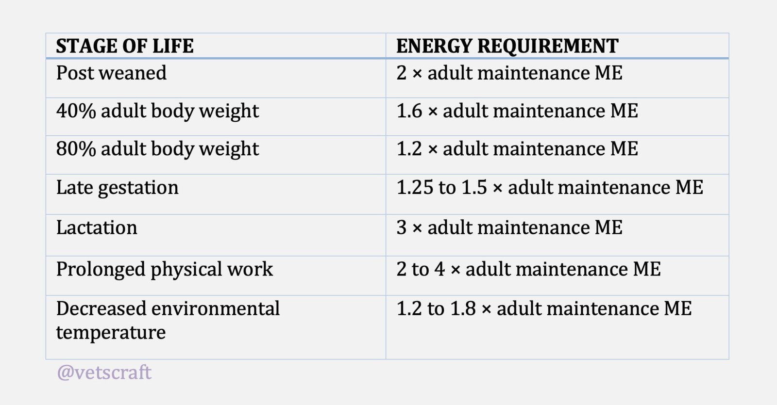 Energy Requirements in Dogs | Veterinarian's Calculation & Advice