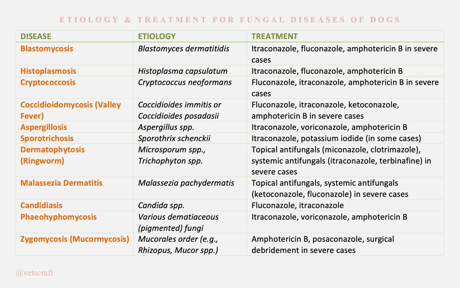 Fungal Diseases of Dogs | Etiology, Clinical Signs & Treatment