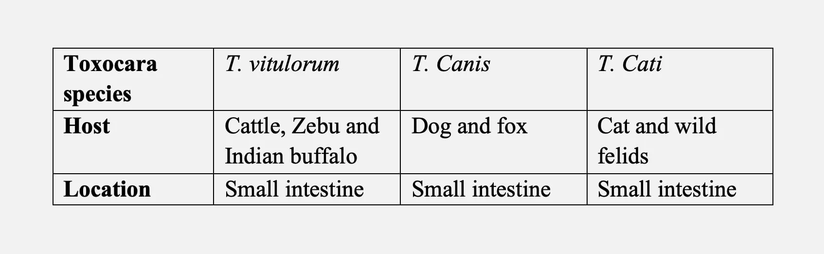 Etiology of Toxocariasis