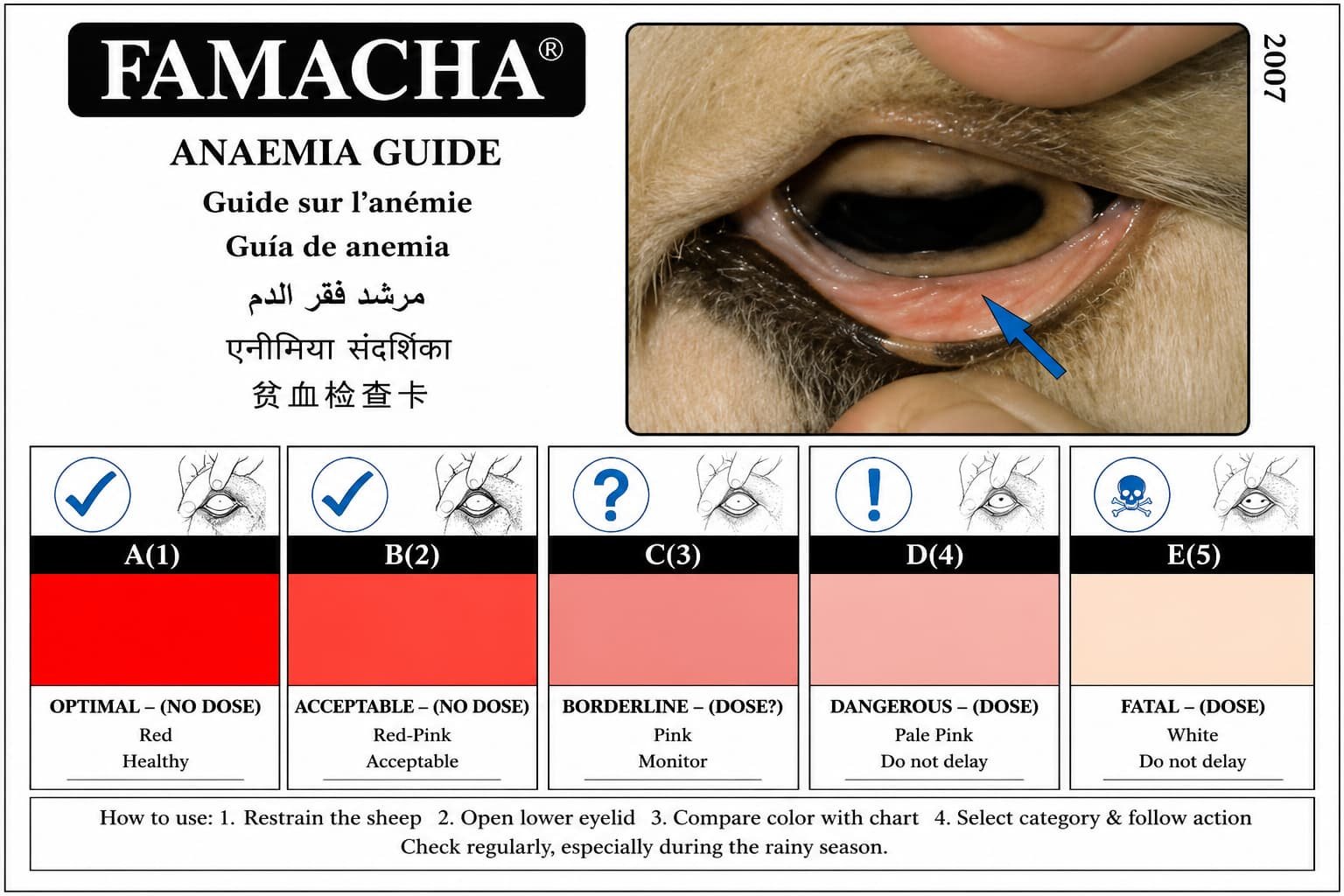 FAMACHA Chart (Trichostrongylidae Parasite Control)