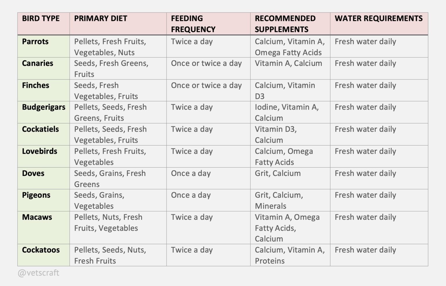Picture of Feeding Management of Pet Birds | Soaked Seeds & Green Leaves