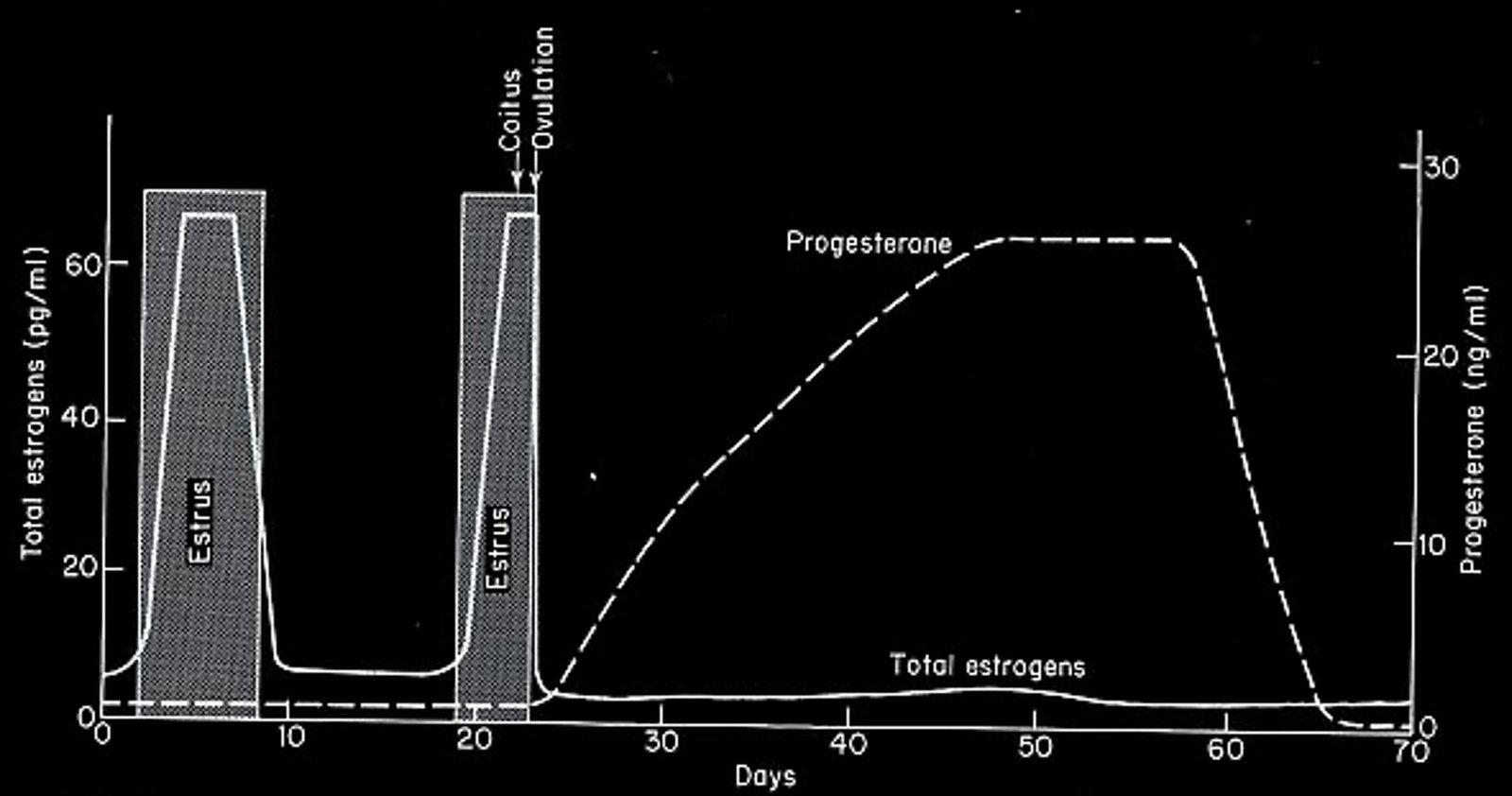 Hormone Concentration in the Peripheral Blood of the Ewe During the Estrous Cycle