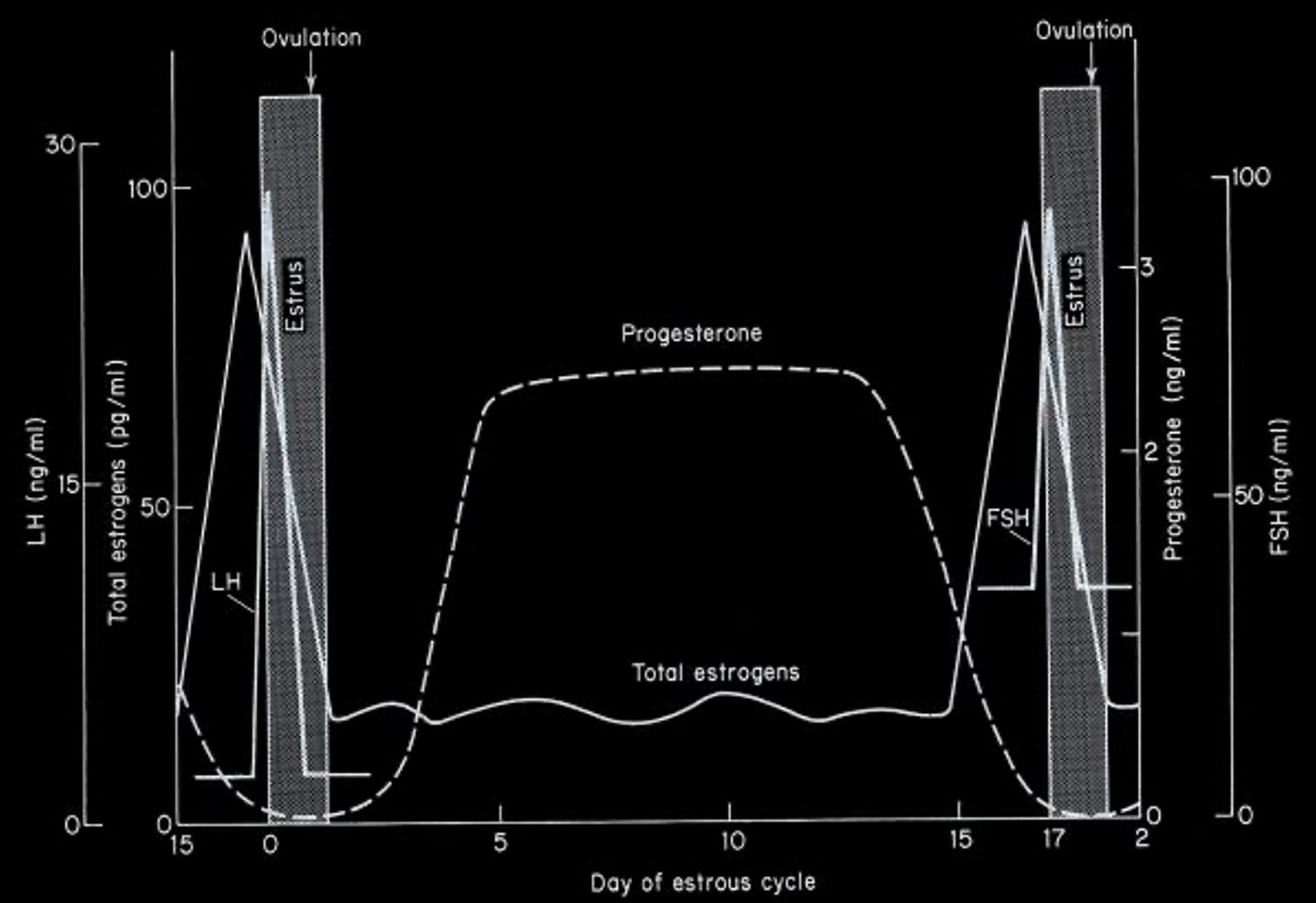 Hormone Concentrations in the Peripheral Blood of the Cat During the Estrous Cycle