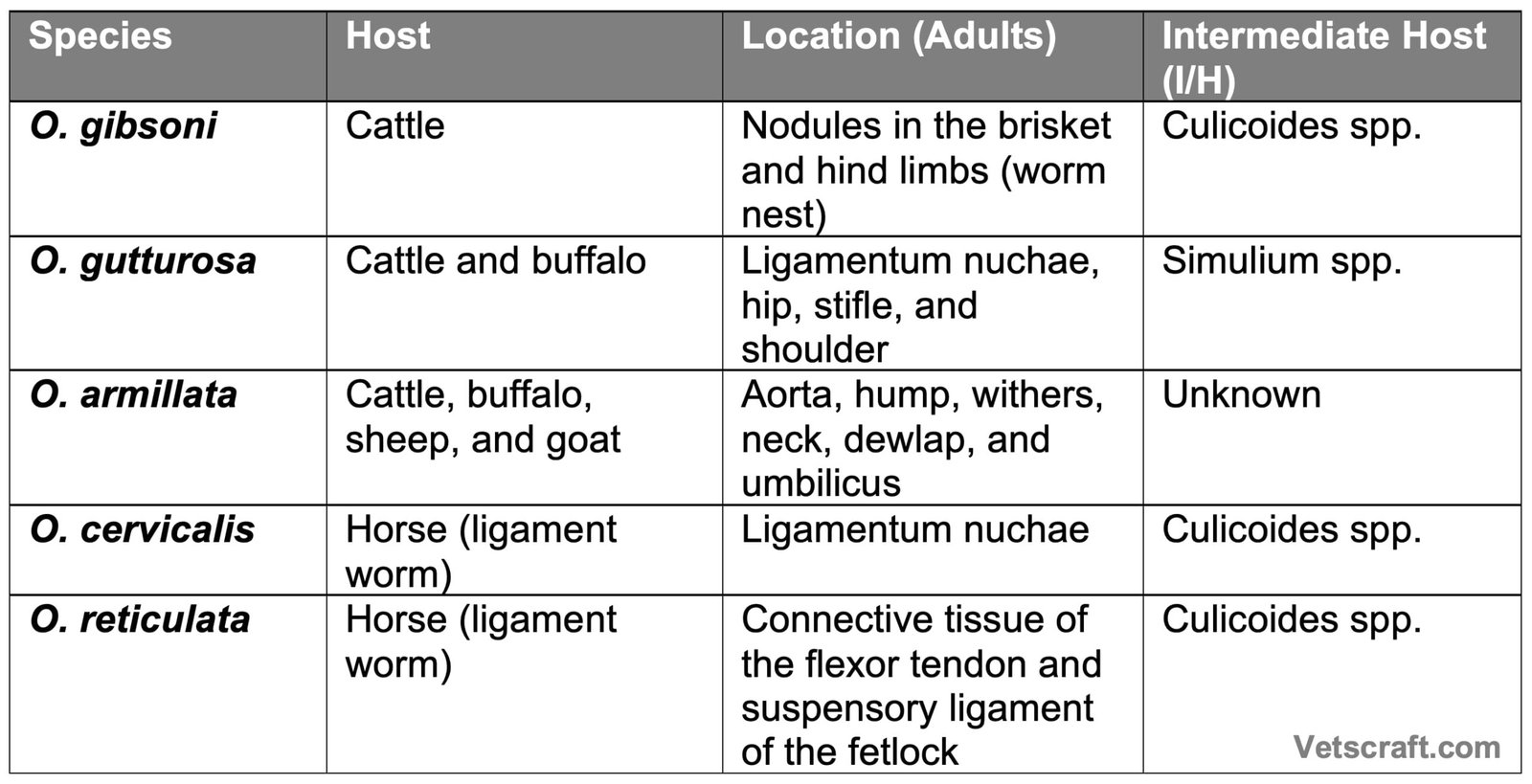 Important Onchocerca Species Affecting Domestic Animals