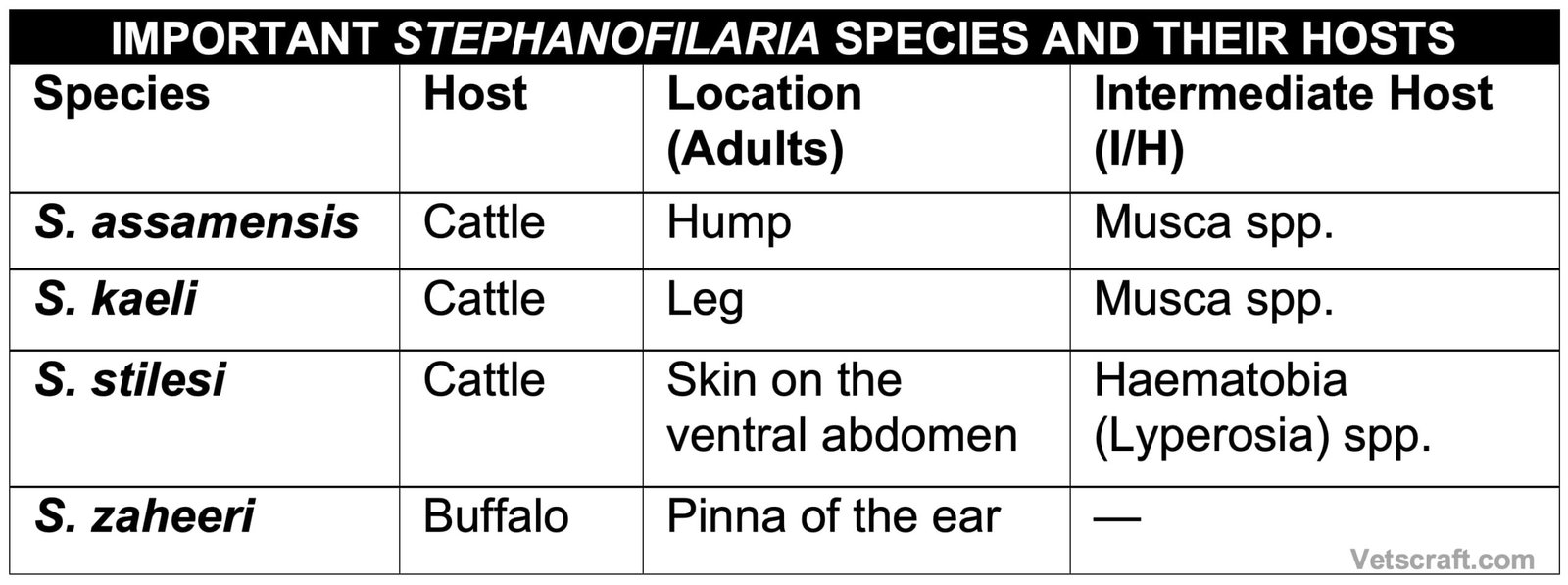 Important Stephanofilaria Species and Their Hosts
