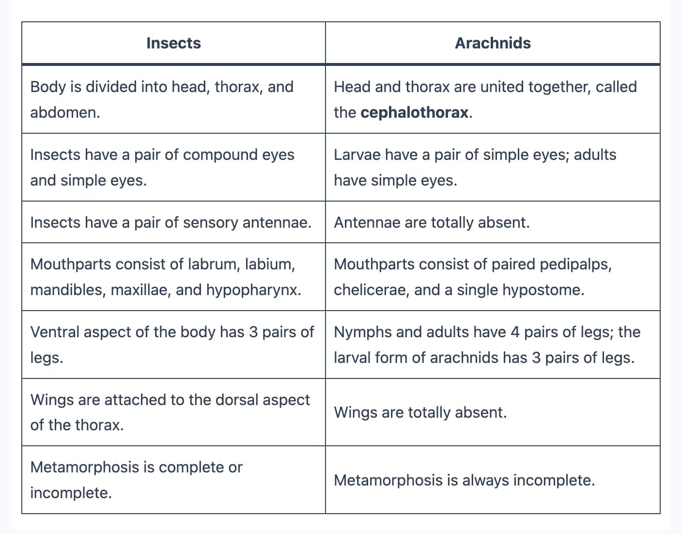 Insects Vs Arachnids (Differences and Characteristics)