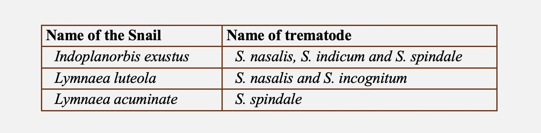 Intermediate host of Schistosomiasis
