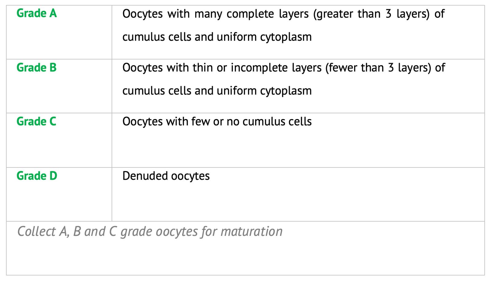 Oocytes Grades in In Vitro Fertilization (IVF)
