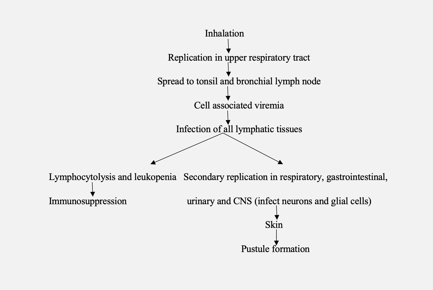 Pathogenesis of Canine Distemper (CD)