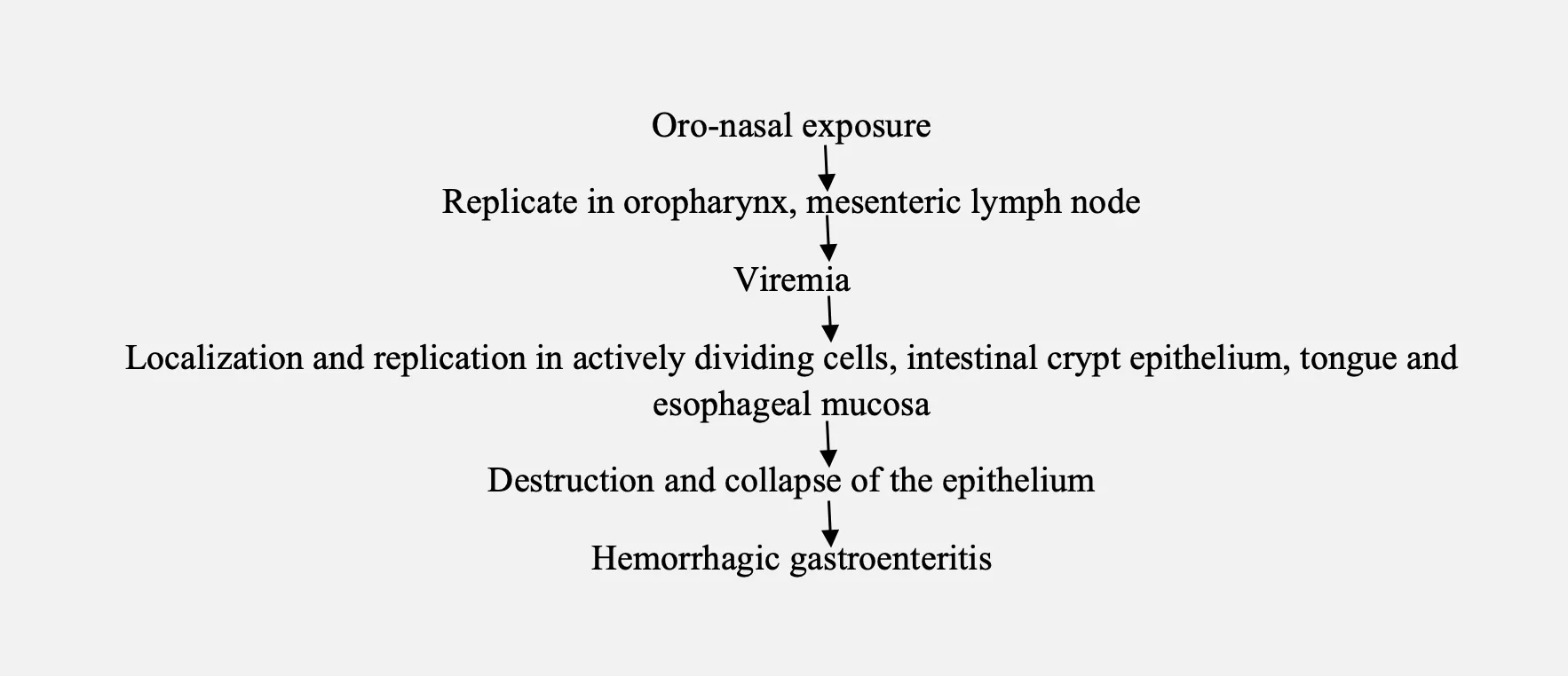 Pathogenesis of Canine Parvoviral Enteritis (CPV)