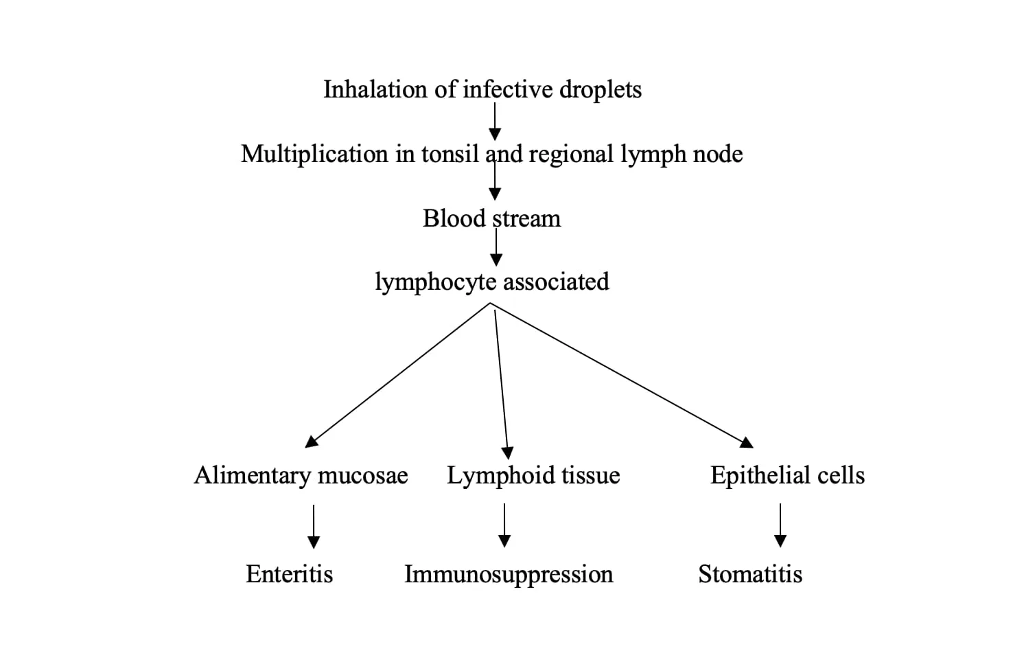 Pathogenesis of Rinderpest (Cattle Plague)