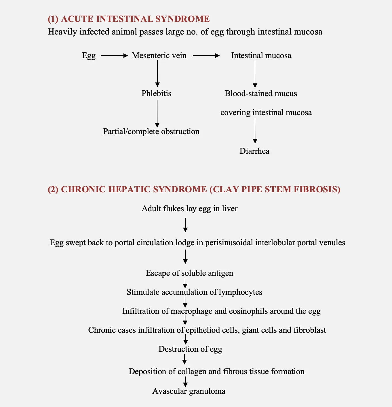 Pathogenesis of Schistosomiasis