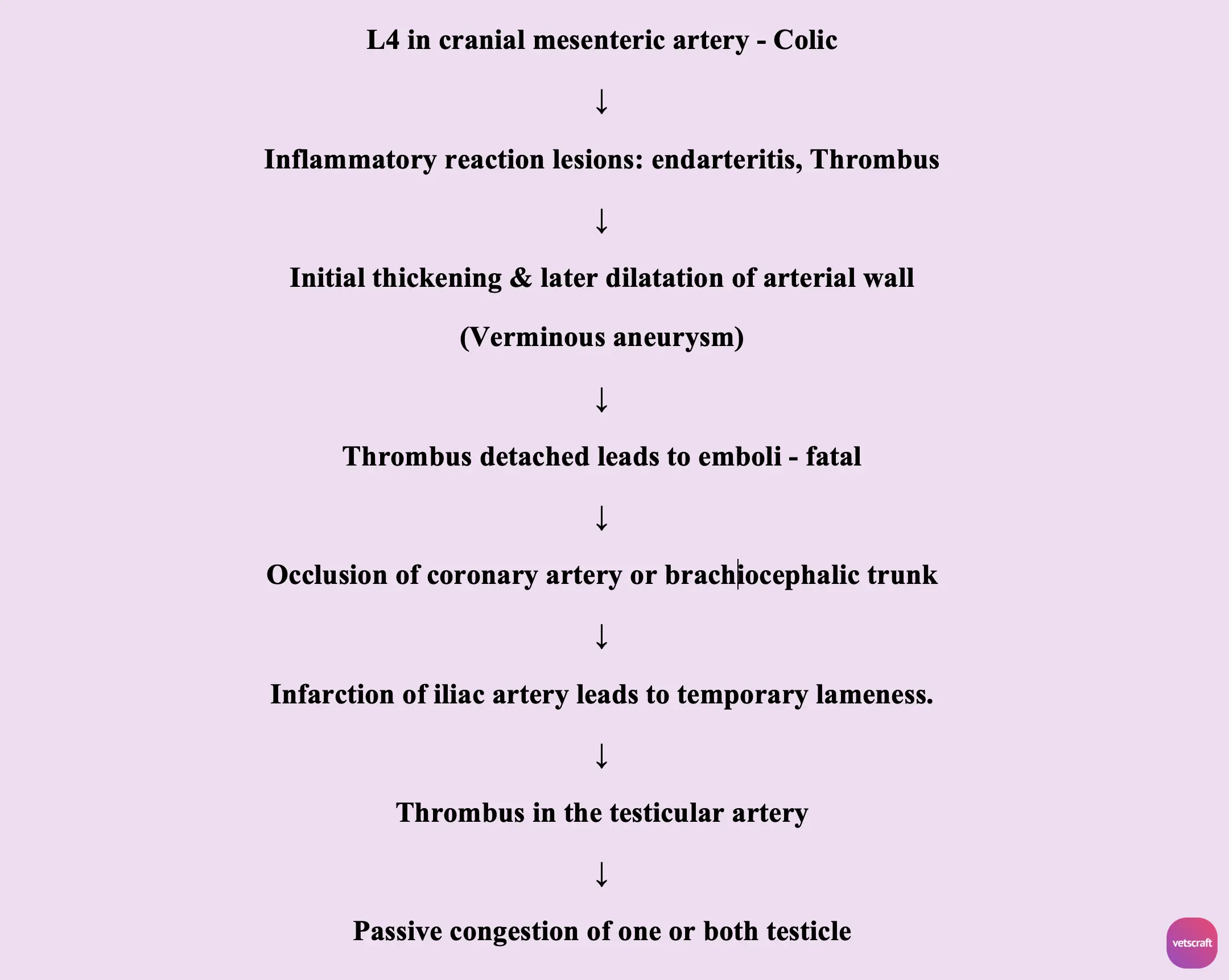 Pathogenesis of Strongylus vulgaris (Development of Verminous Aneurysm)
