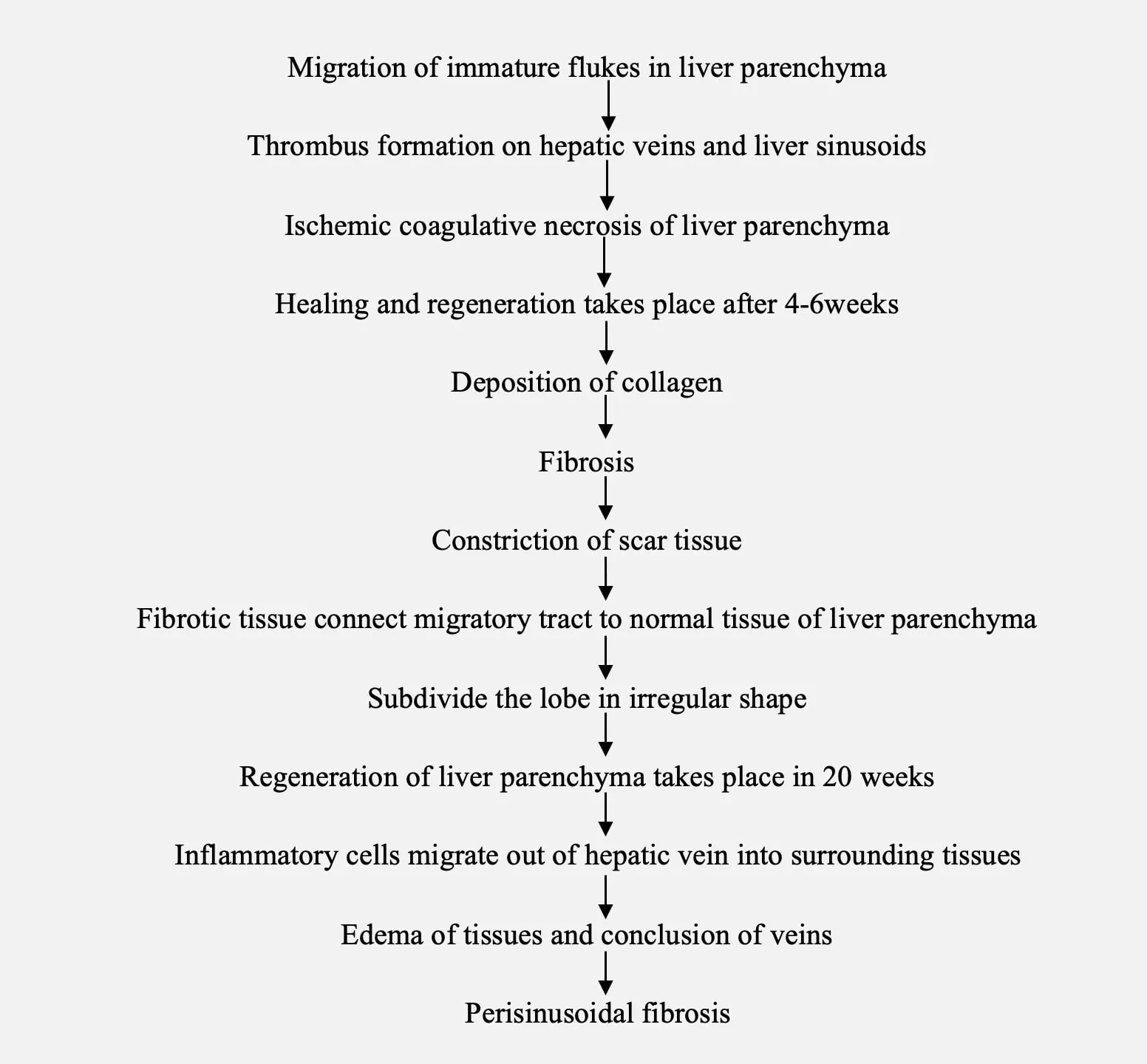 Pathogenesis of chronic fascioliasis in animals