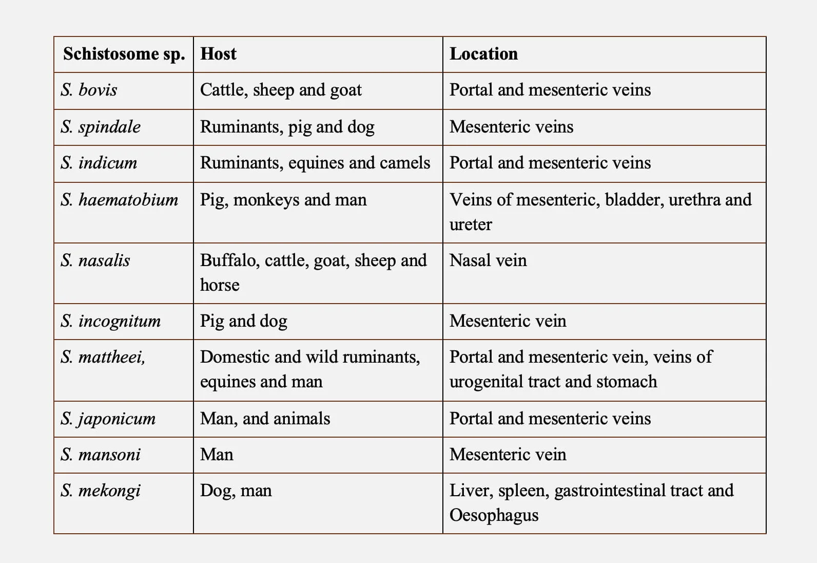 Schistosome species of Veterinary Importance