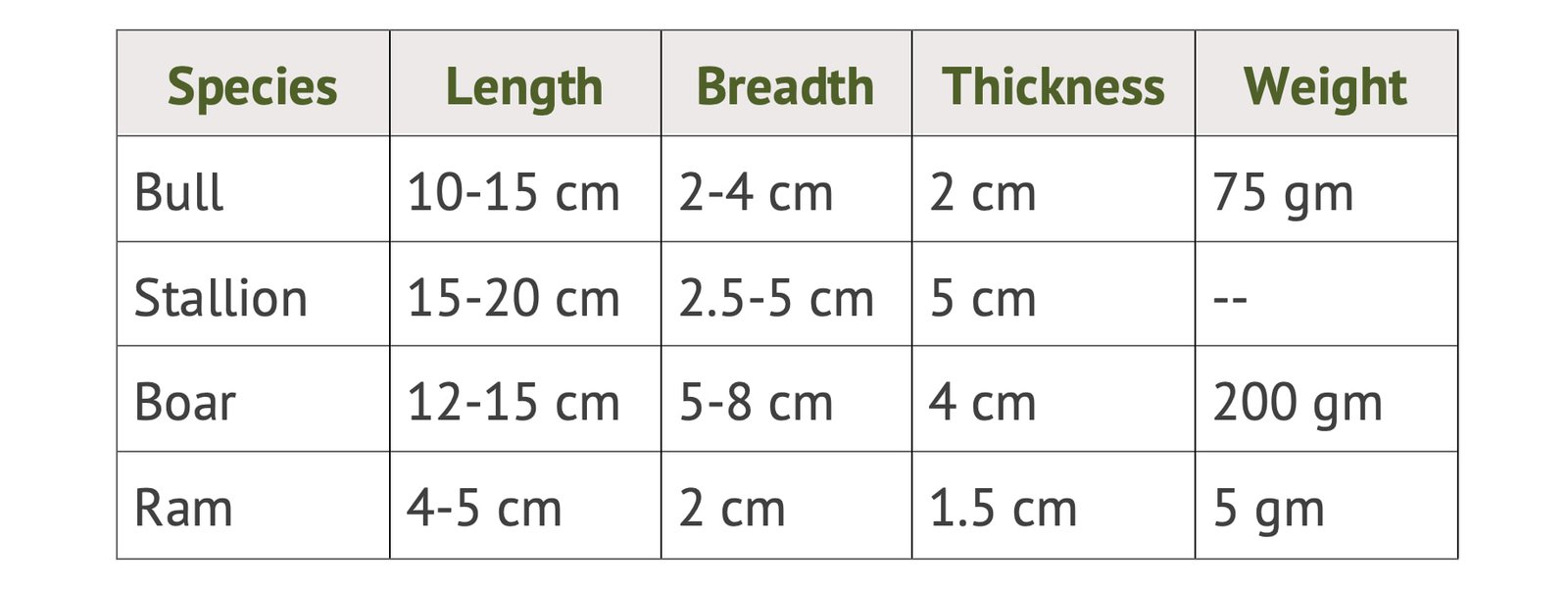 Species Wise Anatomy of the Seminal Vesicle
