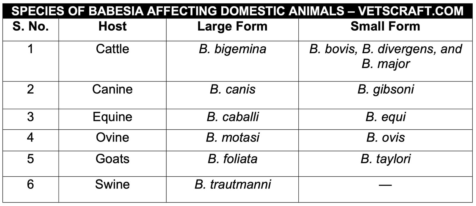 Species of Babesia Affecting Domestic Animals