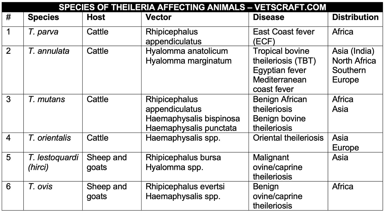 Species of Theileria Affecting Animals