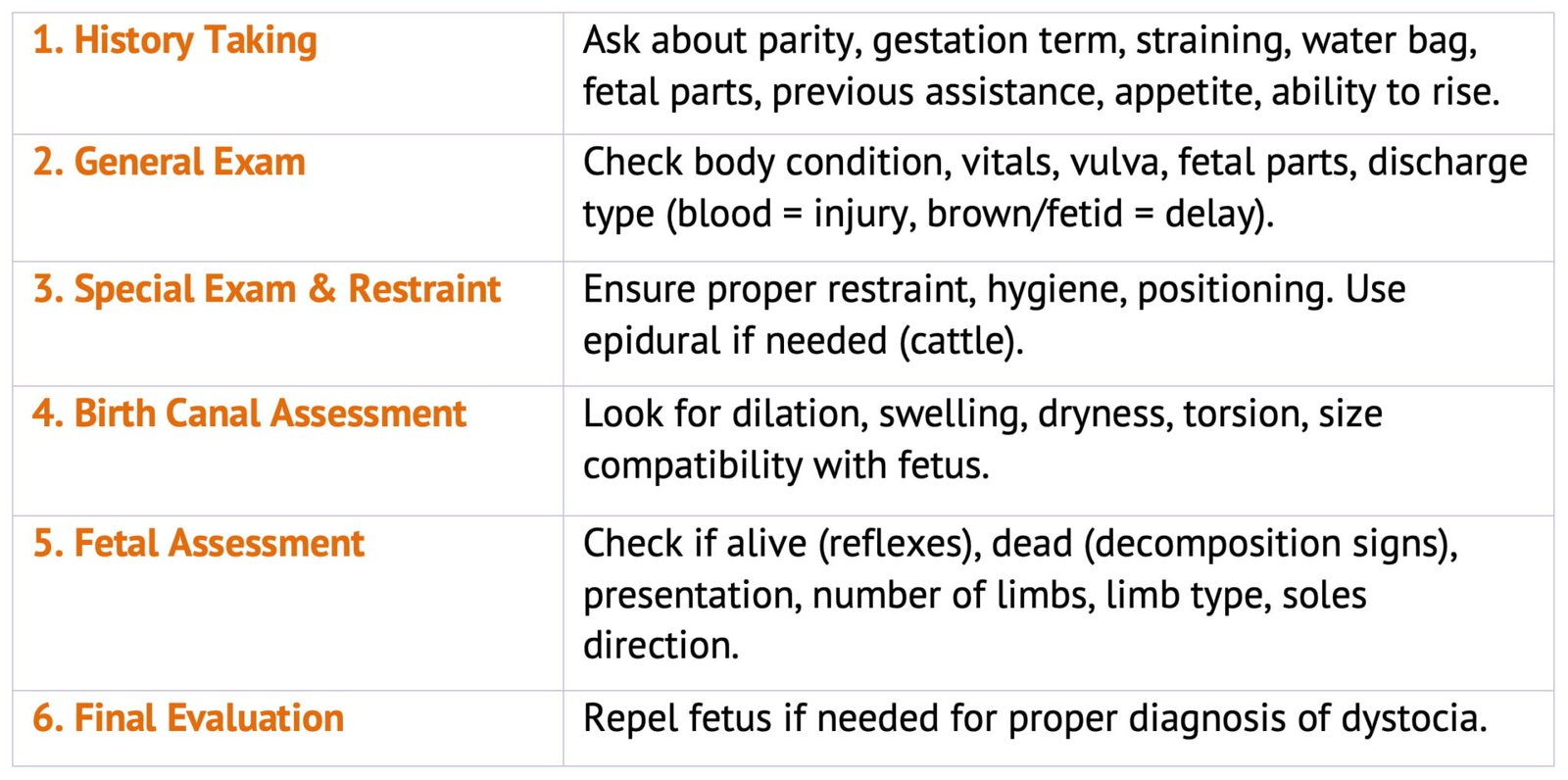 Examination of an Obstetrical Case | Special Examination