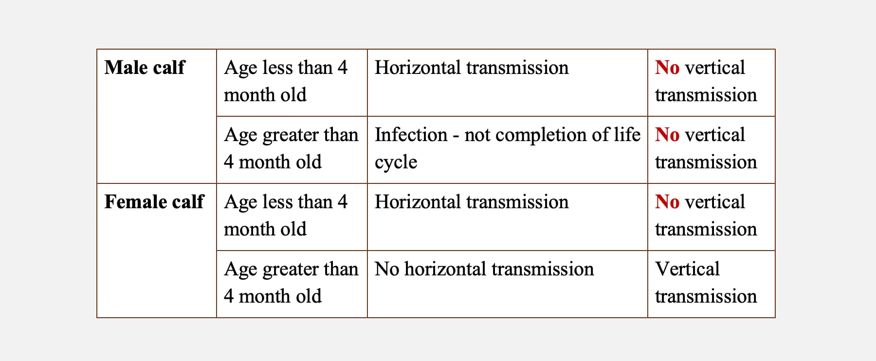 Transmission of toxocara vitulorum in bovines